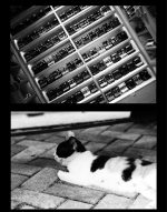 Filme Fotográfico Fujifilm Acros 100II Preto E Branco - 35mm - Imagem 4