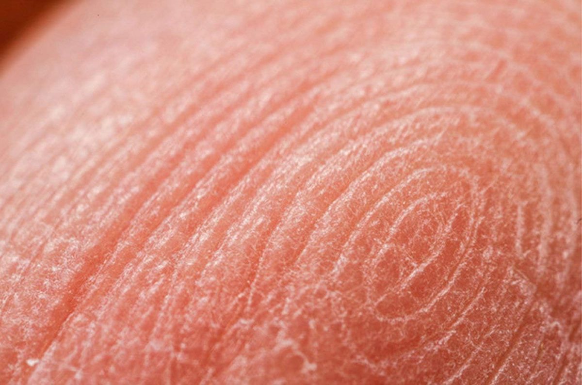 Lente Mitakon 20mm f/2 Full Frame 4.5X Super Macro - Imagem 4