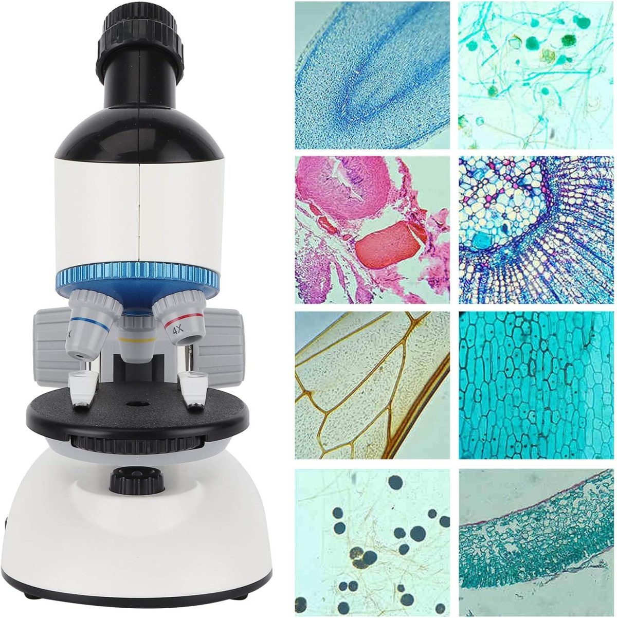 Microscópio De Crianças 100x 400x 1200x Educacional - Branco - 1188-3 - Imagem 5