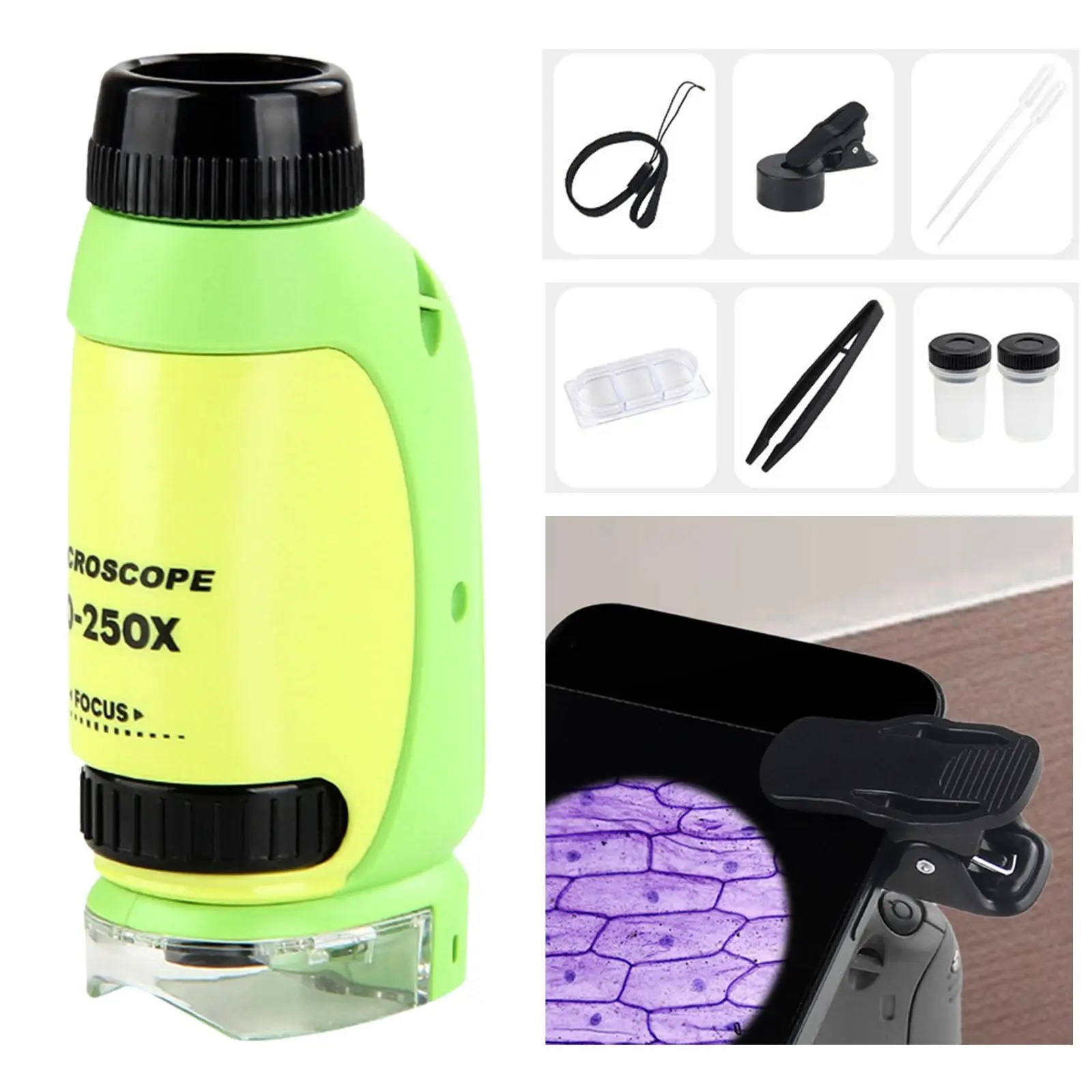 15290892644-sea7c971d904c417e95472e931ac322fas.jpg Microscópio Infantil Portátil Zoom 250x Com Luz - 229A - Imagem 1