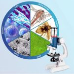 Kit Microscopio Infantil 58 peças Com Amostras Maleta 1200x - BG019 - Imagem 4